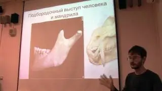 Человек - вершина эволюции?