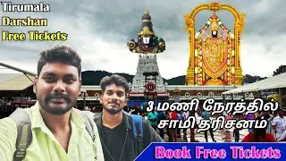 Tirumala Free Darshan in Just 3 Hours😍Best Day In Tirupati❤️Best Experience😍In Tirupati Free