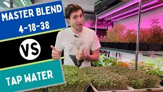 MasterBlend 4-18-38 vs Water on Broccoli Microgreens — Is It Worth the Cost?