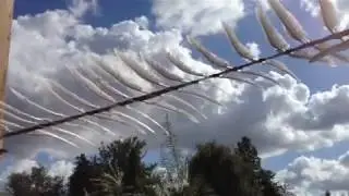 Flight