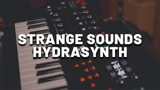 Strange Sounds with ASM Hydrasynth (No Talking) | Experimental, Ambient, Sci-Fi Sound Design