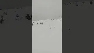 Еду на ларвене по полю в деревню Харины.