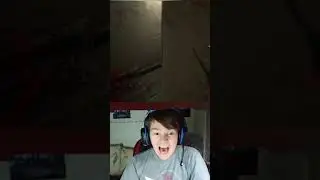 Выползла гадина о_0