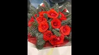 Почему нельзя не кормить коров