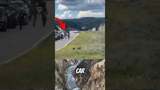 NEVER DO WHAT THEY DID, WHEN TRAVELING!