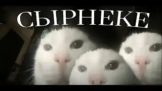 Жуж