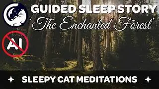 The Enchanted Forest of Wonder - Guided Sleep Story