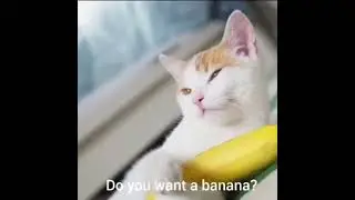 Do you want a banana? but censored
