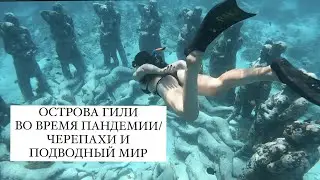 ОСТРОВА ГИЛИ ВО ВРЕМЯ ПАНДЕМИИ/СТАТУИ В ВОДЕ И ЧЕРЕПАХИ