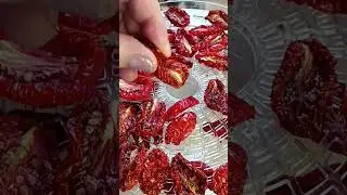 дорогую закуску готовим сами из сезонных томатов