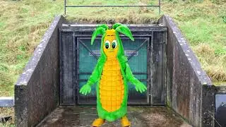 #CORNspiracy