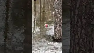 Сифон уплыл 1 часть