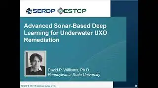 Advanced Sonar-Based Deep Learning for Underwater UXO Remediation