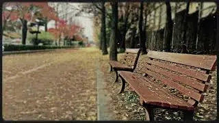 Düş Sokağı - Harabe