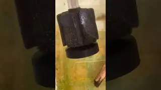 Анциструс поплыл