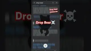 Drop Bear ☠️☠️☠️