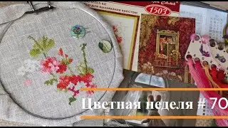 Цветная неделя 70 // 19.09.2024-25.09.2024. Айне, Совиный лес, Кларт, Овен, Риолис