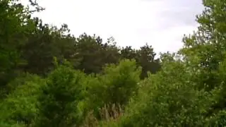 Крымский соловей!