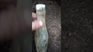 Немецкий лимонад
