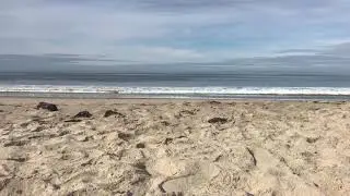 Free Stock Video: Ocean View Dana Point, California