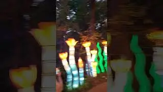 more lantern festival