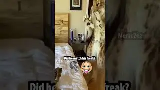 match my freak