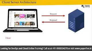 Client-Server Architecture Explained: How It Works & Why It Matters! | Part-2 | PaperLive Learning