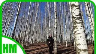 7 апреля. Благовещение. Выходной. В городе.