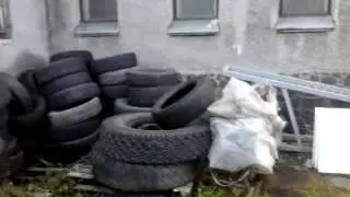 Лиса пришла во двор автосервиса в городе