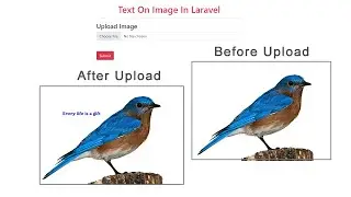 Text On Image In Laravel