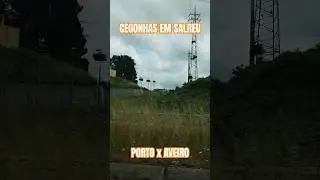 Porto x Aveiro | Portugal | Condomínios de Cegonhas em Salreu | #viagem