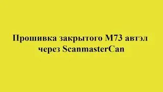 Прошивка закрытого М73 автэл через ScanmasterCan