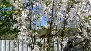 наш быт наш быт