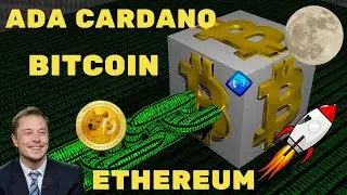 Criptomoedas, até onde vai essa alta? #Bitcoin #Ethereum #AdaCardano #Solana #Axs #Xrp #Dogecoin