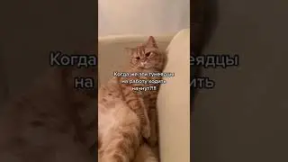 10 мая 2022 г.