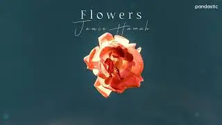 [Vietsub] Flowers - Jamie Hannah