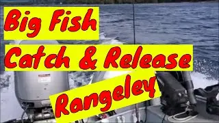 (May 20, 2024) Fantastic Morning - Rangeley