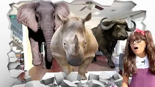 Heaviest Land Animals For Kids | Soso's Toy Animals Come to Life!🦒🐘
