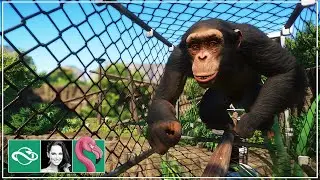 Let's Build a Chimpanzee Overpass in Monkey World!
