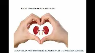 Марафон здоровье 1 день Почки