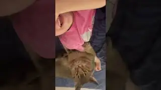Котик будет малышку в садик 🥰 