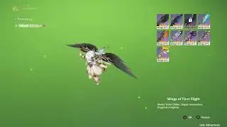 after you get sumeru wind glider 
