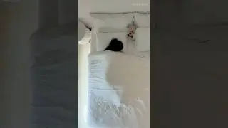 🩰asmr my mini morning routine🕊️🫧