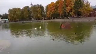 ЛЮБЛЮ ТЕБЯ СИЛЬНЕЕ ВОЛИ