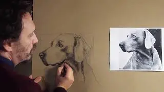 Disegnare un cane - Lezione di disegno a mano libera (Parte 1).