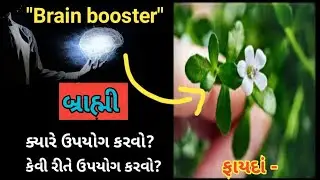 75.બ્રાહ્મીનો ઉપયોગ ક્યારે કરવો | બ્રાહ્મી લેવાના ફાયદાં | બ્રાહ્મી ની તાસિર | 