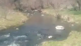 Ahiler çiftliği çay