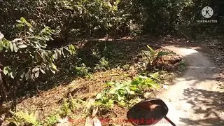 trabas jalan mengerikan menggunakan metic