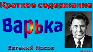 Краткое содержание Варька, Носов