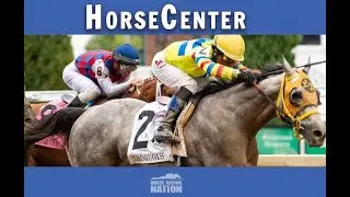Breeders' Futurity, American Pharoah, and Champagne top picks on HorseCenter